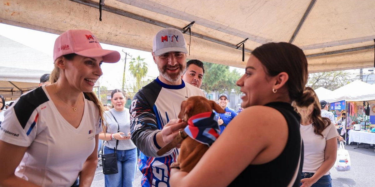 adopcion; animales; chihuahuas; bienestaranimal; monterrey; perritos; chihuahuaton